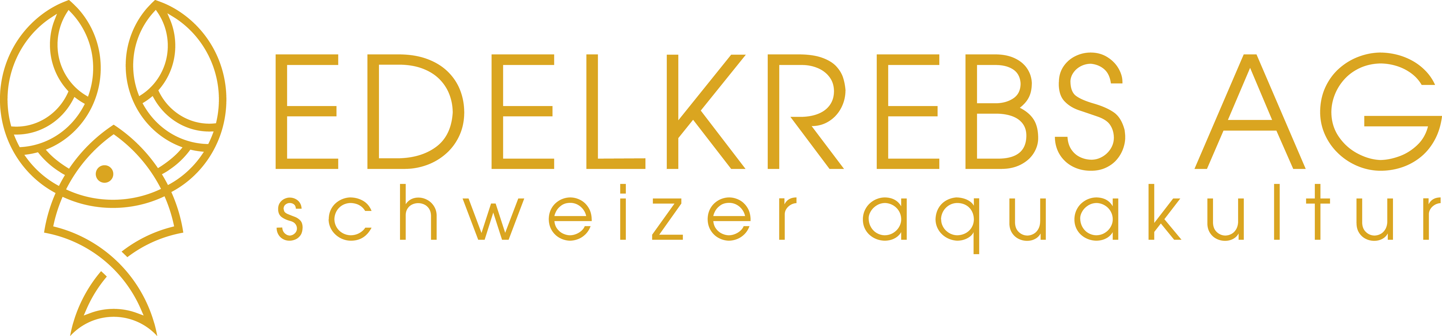 Zur Startseite gehen