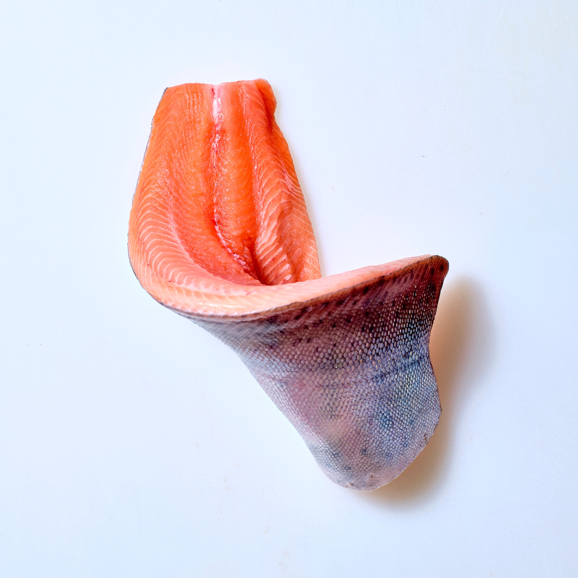 Masu-Lachs | Filet mit Haut, entgrätet